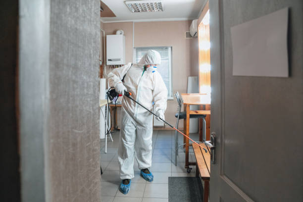 Mold Odor Removal Services in Rainelle, WV