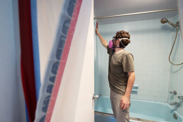Trusted Rainelle, WV Mold Removal Experts