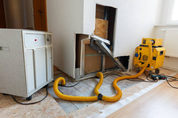 Best HVAC Mold Inspection and Cleaning  in Rainelle, WV